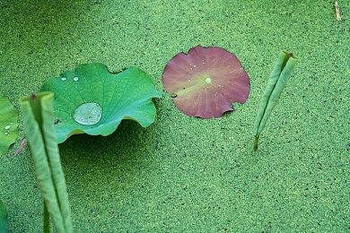 《死亡空间：重制版》没有微交易 会添加改进内容